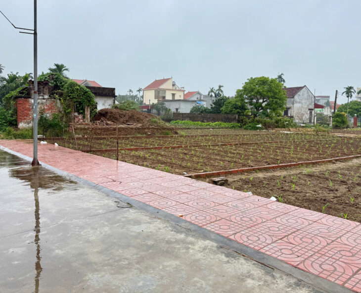 Bán đất giao phong quất lâm 95m2 sát bãi biển và flamingo hơn 1 tỷ