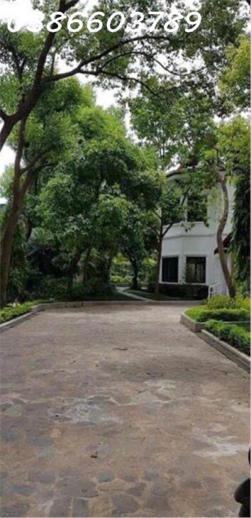 238m² – Ngọc Thuỵ – MT 40m – 3 tầng – Giá 230 tỷ 238m² – Ngọc Thuỵ – MT 40m – 3 tầng – Giá 230 tỷ