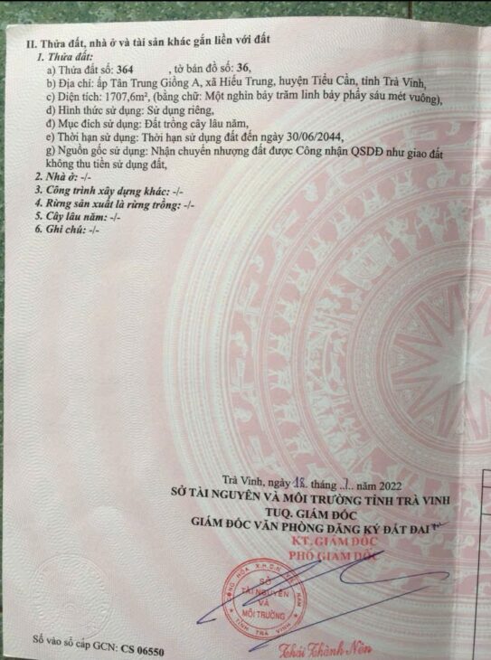 ĐẤT VƯỜN DỪA – GIÁ TỐT – CHÍNH CHỦ CẦN BÁN Tại Tân Trung Giồng A, Hiếu Trung, Tiểu Cần, Trà Vinh