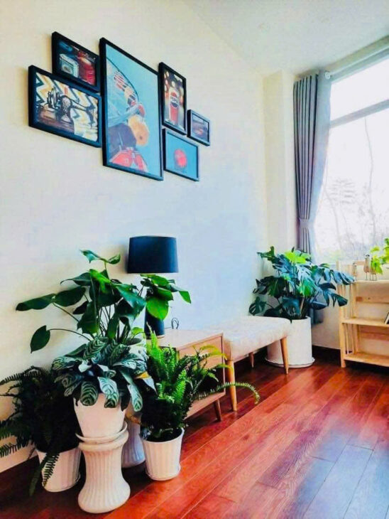 CHO THUÊ HOMESTAY MỚI ĐẸP – FULL NỘI THẤT – GẦN HỒ XUÂN HƯƠNG