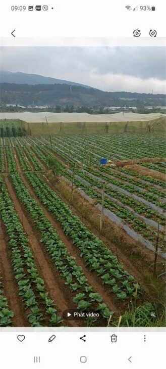 ĐẤT ĐẸP – GIÁ TỐT – CHÍNH CHỦ CẦN BÁN Tại Lạc Xuân, Đơn Dương, Lâm Đồng