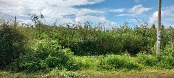 ĐẤT CHÍNH CHỦ – SỔ HỒNG RIÊNG – Bán ĐẤT KHU DU LỊCH SUỐI MƠ – ĐỒNG NAI