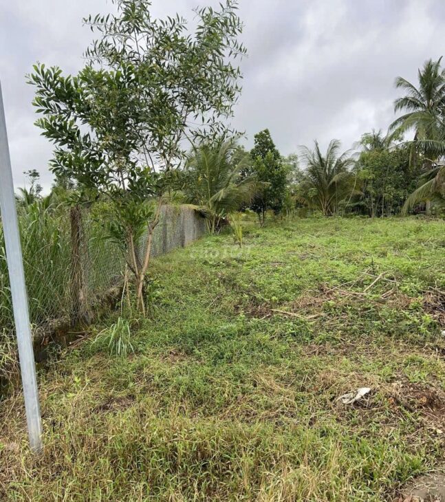 ĐẤT CHÍNH CHỦ – SỔ HỒNG RIÊNG – Bán ĐẤT KHU DU LỊCH SUỐI MƠ – ĐỒNG NAI