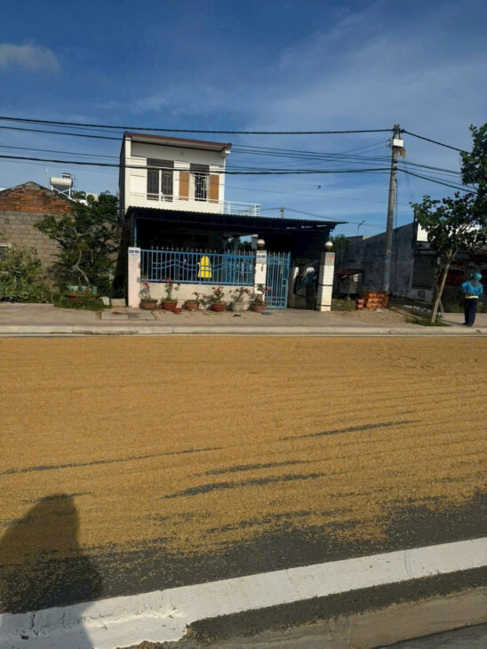 CHÍNH CHỦ BÁN ĐẤT TẶNG NHÀ TẠI PHAN RANG – THÁP CHÀM, NINH THUẬN