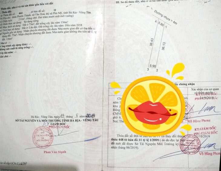 ĐẤT ĐẸP – GIÁ TỐT – Bán GẤP Lô Đất Tiềm Năng Tại Xã Tân Hòa Phú Mỹ, Bà Rịa Vũng Tàu