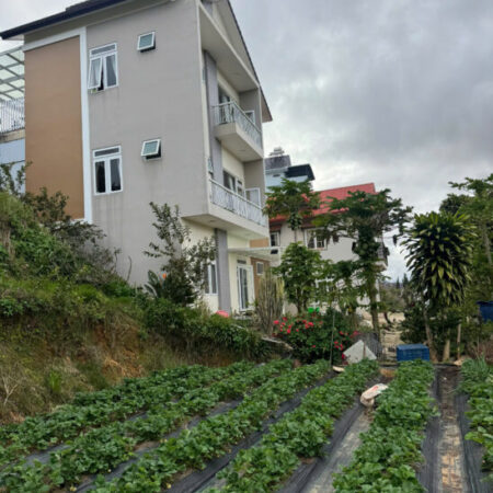 SUẤT ĐẦU TƯ HIẾM – 611m² P7 ĐÀ LẠT VIEW SĂN MÂY – HOÀNG HÔN ĐỈNH CAO – GIÁ 14,9 TỶ