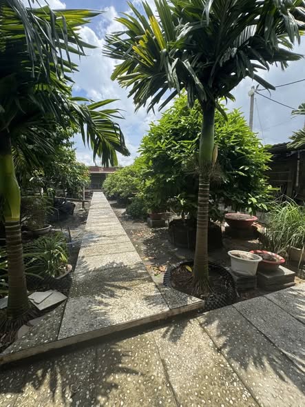 Bán nhà mặt tiền 36x28m giá 25 tỷ Đường 7m Phạm Văn Sáng