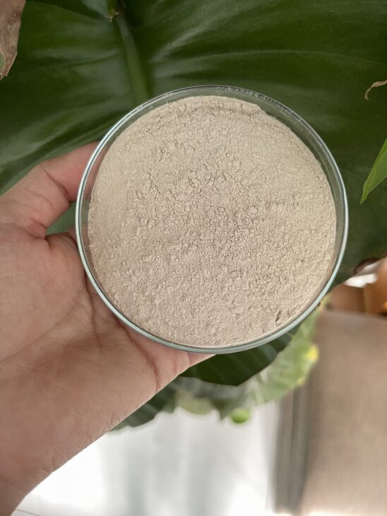 AZOMITE – KHOÁNG MỸ ĐA VI LƯỢNG CHO TÔM CÁ PHÁT TRIỂN TOÀN DIỆN 🦐