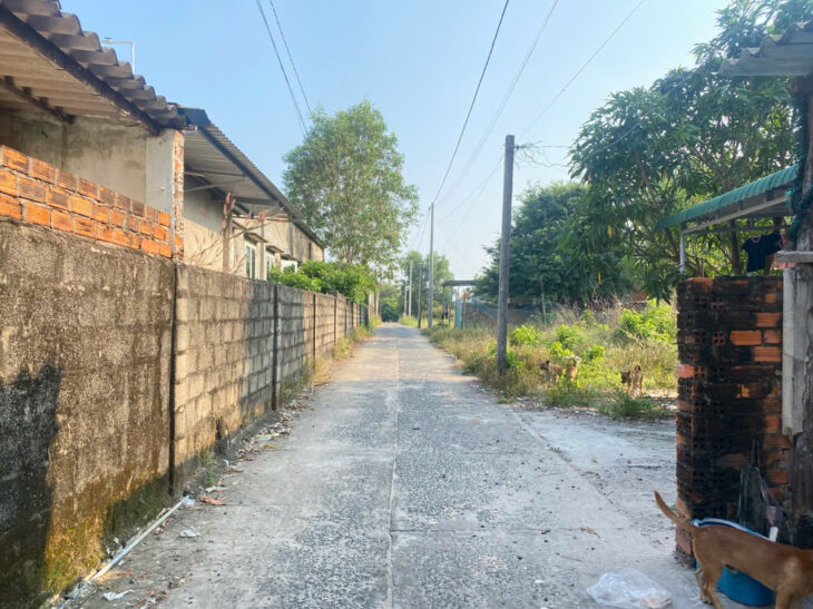 Bán 12.5m x 25.5m đất ODT Hẻm Nguyễn Thông, LaGi đại hạ giá chỉ 1.55 tỷ