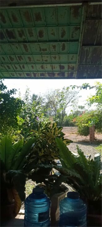 ĐẤT ĐẸP – ĐẦU TƯ SINH LỜI – Chính Chủ Cần Bán Tại Xã Tân Phú, Tân Châu, Tây Ninh