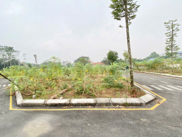 Gia đình cần tiền bán lô 60,7m lô góc sen trì bán nhanh giá mềm