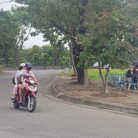 Lô đất biệt thự KDC Nam Long đường D1,Liên Phường giá chỉ 24ty