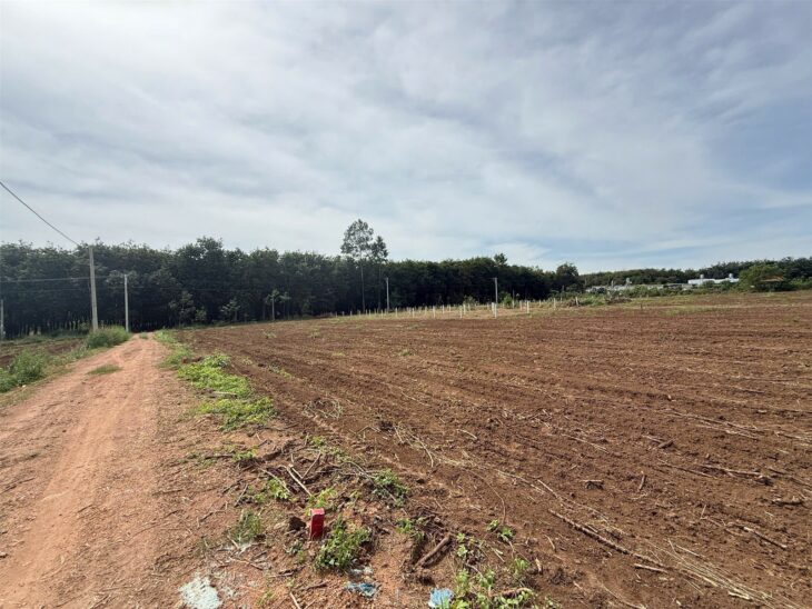 ĐẤT ĐẸP – GIÁ ĐẦU TƯ – CẦN BÁN LÔ ĐẤT TẠI Xã An Linh, Huyện Phú Giáo, Bình Dương