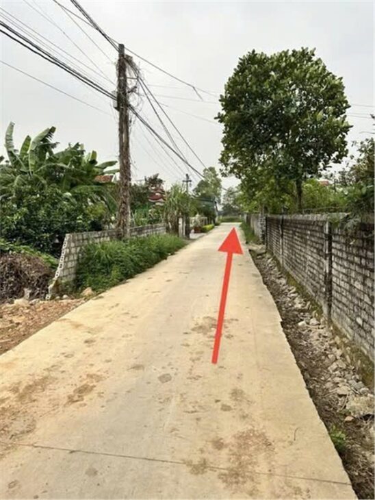 ĐẤT ĐẸP – GIÁ TỐT – CẦN BÁN LÔ ĐẤT VỊ TRÍ ĐẸP TẠI Xã Quỳnh Bảng, Huyện Quỳnh Lưu, Nghệ An