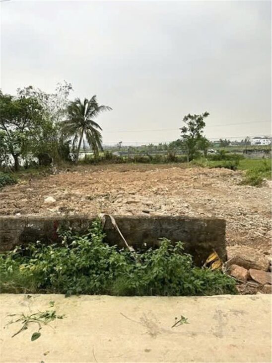 ĐẤT ĐẸP – GIÁ TỐT – CẦN BÁN LÔ ĐẤT VỊ TRÍ ĐẸP TẠI Xã Quỳnh Bảng, Huyện Quỳnh Lưu, Nghệ An