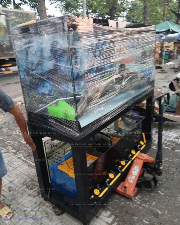 PHI CÔNG GROUP NHẬN GỬI HỒ CÁ ĐI ÚC BẰNG ĐƯỜNG TÀU BIỂN