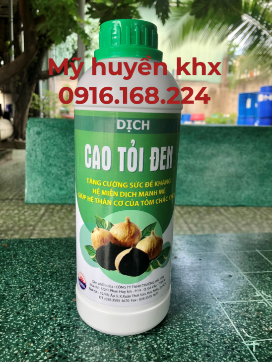 Dịch cao tỏi đen – kháng sinh tự nhiên cho tôm