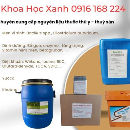 Dịch cao tỏi đen – kháng sinh tự nhiên cho tôm