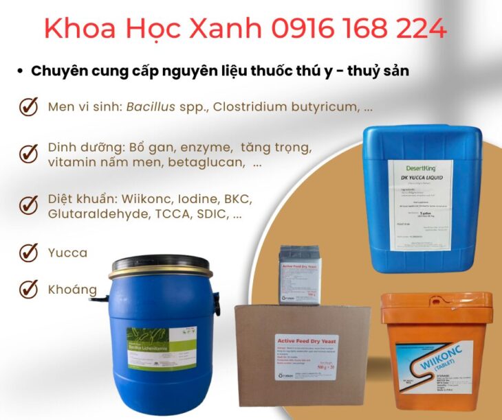 Dịch cao tỏi đen – kháng sinh tự nhiên cho tôm