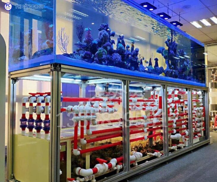 PHI CÔNG GROUP NHẬN GỬI HỒ CÁ ĐI ÚC BẰNG ĐƯỜNG TÀU BIỂN