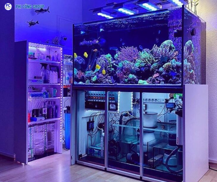 PHI CÔNG GROUP NHẬN GỬI HỒ CÁ ĐI ÚC BẰNG ĐƯỜNG TÀU BIỂN