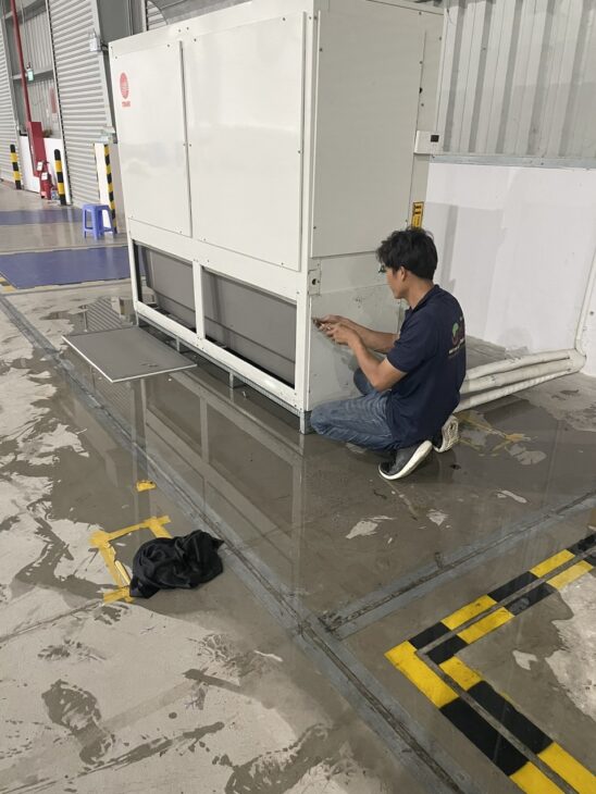 phat Avatar - TPHCM Today