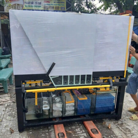 Gửi Bể Cá đi Úc bằng đường Biển tại TPHCM