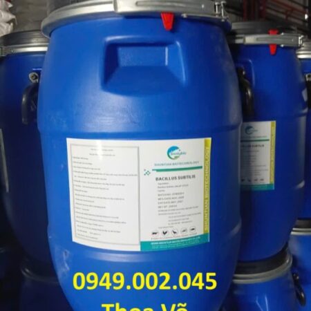 Bacillus Subtilis – Xử Lý Nước, Hỗ Trợ Tiêu Hóa