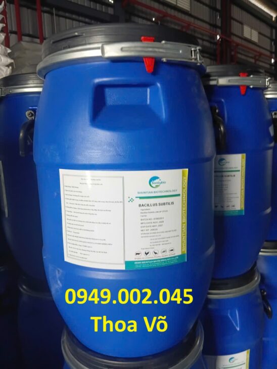 Bacillus Subtilis – Xử Lý Nước, Hỗ Trợ Tiêu Hóa