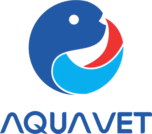 Thoa Avatar - TPHCM Today