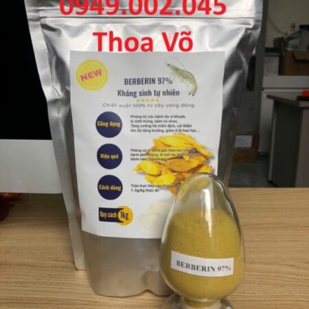 VÀNG ĐẮNG BERBERIN – Trị Phân Lỏng, Ức Chế Vi Khuẩn Tôm Cá