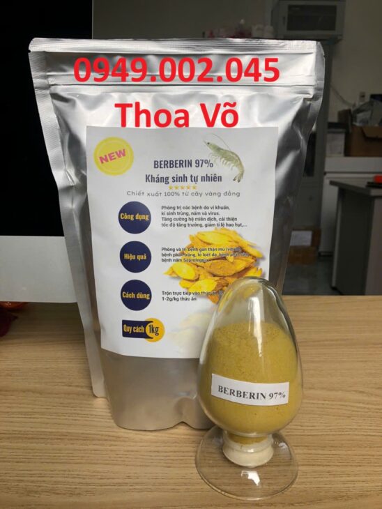 VÀNG ĐẮNG BERBERIN – Trị Phân Lỏng, Ức Chế Vi Khuẩn Tôm Cá