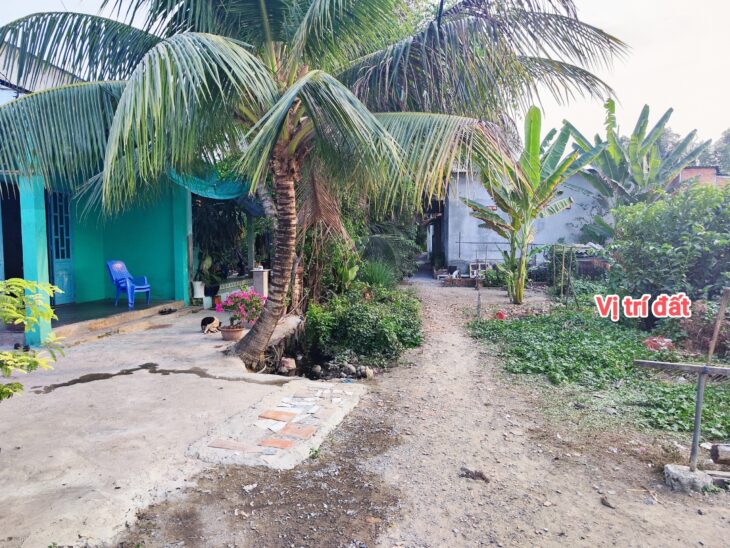 CẦN BÁN 307M2 ĐẤT THỔ CƯ HẺM XE HƠI KHI CẢI TẠO LẠI