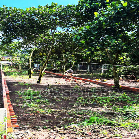 210m² THỔ CƯ, NGAY CHỢ HÀM NGHI – TP LONG KHÁNH – ĐN. CƠ HỘI X2,3 TÀI SẢN.