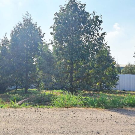 5×26 MT NHỰA LỚN NGAY DT770B và KDC XUÂN TÂN, TP LONG KHÁNH. ĐN