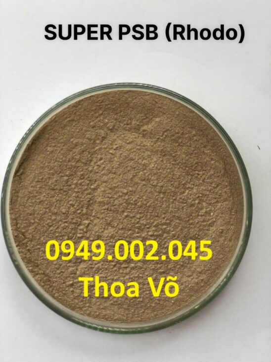 SUPER PSB Rhodo – Vi Khuẩn Quang Hợp Xử Lý Nước, Giảm Khí Độc Ao Tôm Cá Hiệu Quả