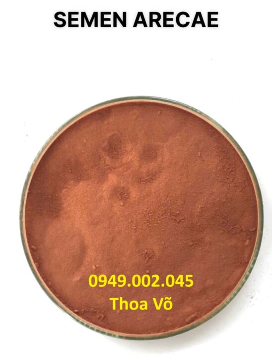 Hạt Cau (Semen Arecae) – Trị Nấm, Diệt Ký Sinh Trùng Ao Tôm Cá, Tẩy Giun Sán Hiệu Quả