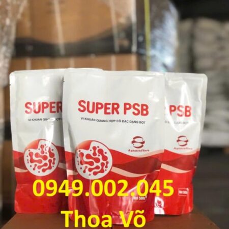 SUPER PSB Rhodo – Vi Khuẩn Quang Hợp Xử Lý Nước, Giảm Khí Độc Ao Tôm Cá Hiệu Quả