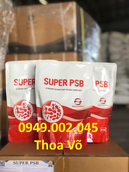 SUPER PSB Rhodo – Vi Khuẩn Quang Hợp Xử Lý Nước, Giảm Khí Độc Ao Tôm Cá Hiệu Quả