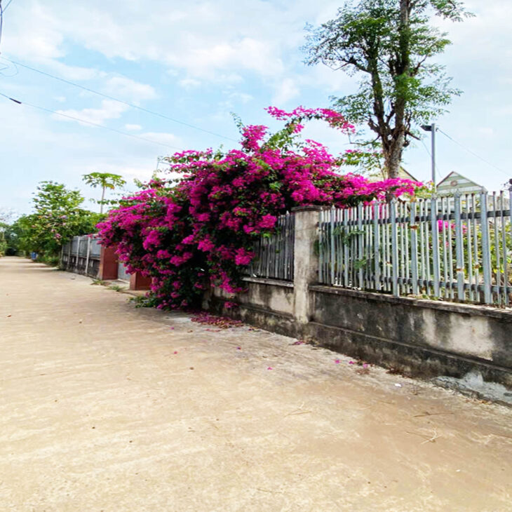 ĐẤT NỀN THỌ TÂN – P XUÂN LỘC – ĐN. GIÁ CHỈ 490Tr. 100% OĐT