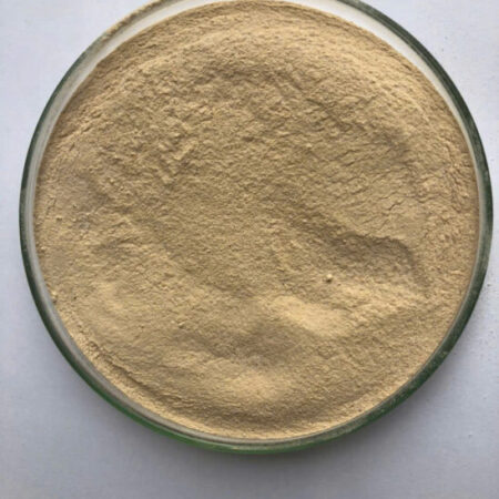 Men vi sinh đơn dòng bacillus licheniformis Men vi sinh đơn dòng bacillus licheniformis