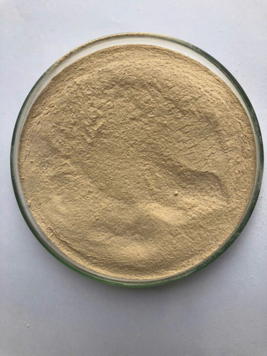 Men vi sinh đơn dòng bacillus licheniformis