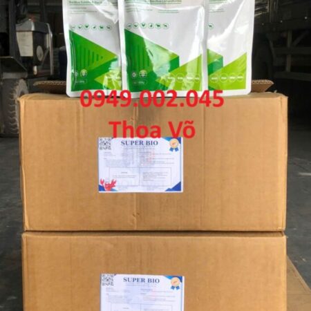 SUPER BIO – Hỗ Trợ Đường Ruột, Tăng Cường Hệ Đệm Vi Sinh, Gây Màu Nước Hiệu Quả