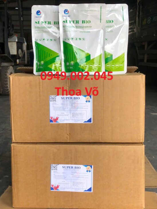 SUPER BIO – Hỗ Trợ Đường Ruột, Tăng Cường Hệ Đệm Vi Sinh, Gây Màu Nước Hiệu Quả