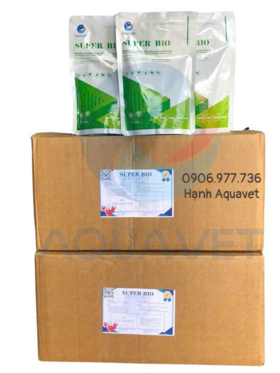 men vi sinh xử lý nước BIO SUPER