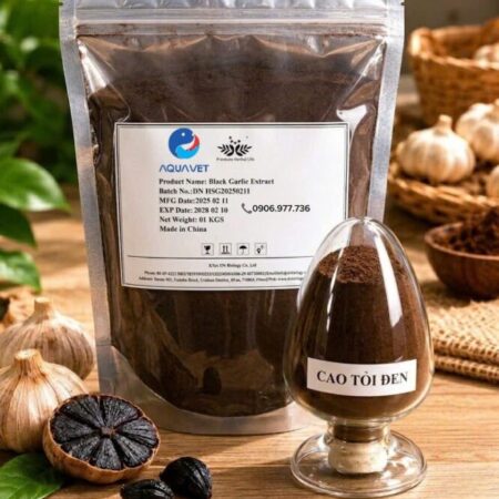 CAO TỎI ĐEN – THẢO DƯỢC TỰ NHIÊN