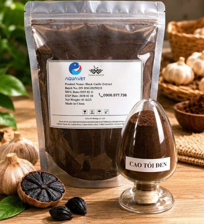 CAO TỎI ĐEN – THẢO DƯỢC TỰ NHIÊN