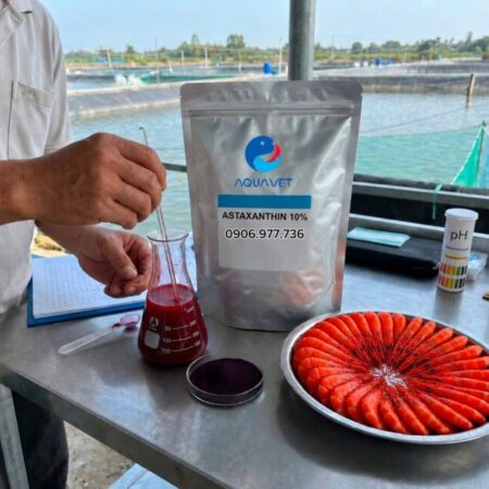 ASTAXANTHIN 10%- TẠO MÀU SẮC CHO TÔM CÁ ASTAXANTHIN 10%- TẠO MÀU SẮC CHO TÔM CÁ