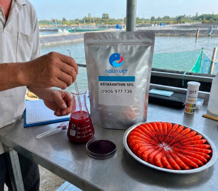 ASTAXANTHIN 10%- TẠO MÀU SẮC CHO TÔM CÁ