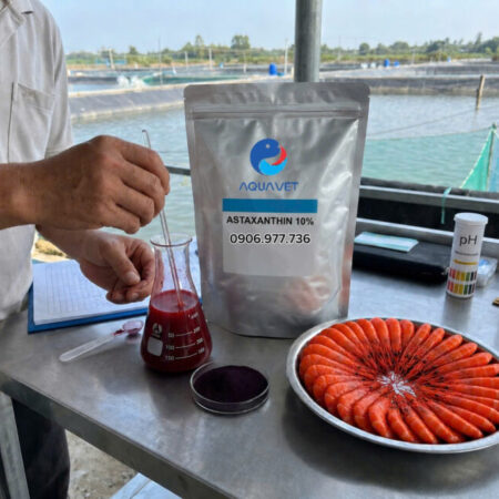 ASTAXANTHIN 10%